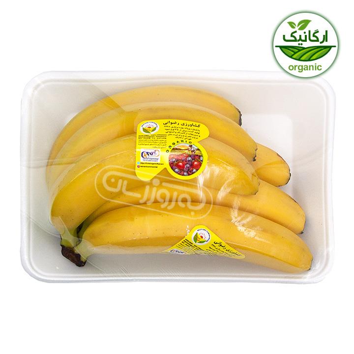 موز ایرانی  ارگانیک دستچین کشاورزی رضوانی